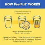 Daily Nouri FeelFull Prebiotic Fiber Drink Mix with Glucomannan & Chromium | for Natural Feeling of Fullness, Appetite & Cravings Support, Gut Microbiome & Metabolic Health | 30 Stick Packs
