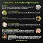 Bed Time Burner | Max Strength Night Time Fat Burner Weight Loss Pills for Women & Men | Appetite Suppressant, Belly Fat Burner, Sleep Aid, Carb Blocker | 16 Ingredients for Fast Results - 60 Caps