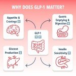 Bye-Bye Carbs - GLP-1 Booster & Carb Blocking Drink Mix - Fight Cravings, Feel Full Longer, & Support Digestion Sugar-Free & Keto Friendly - Strawberry Kiwi