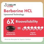 CaelumCore Liposomal Berberine HCL - Berberine 1500mg Activates AMPK & GLP-1, High Bioavailability Berberines Supplement for Women and Men, Berberine Plus Overall Health Support (1 Pack)