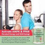 CaelumCore Liposomal Berberine HCL - Berberine 1500mg Activates AMPK & GLP-1, High Bioavailability Berberines Supplement for Women and Men, Berberine Plus Overall Health Support (1 Pack)
