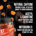 Jacked Factory Burn-XT Weight Loss Gummies - Thermogenic Fat Burner & Appetite Suppressant Gummies with Acetyl-L-Carnitine HCL, MitoBurn, & Caffeine - 60 Gummies, Tangerine Sour