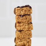 Perfect Bar Mini Dark Chocolate Chip Peanut Butter Protein Bar, Organic, 8 count, 0.88 oz