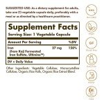 Earth Source Food Fermented Koji Iron 27mg