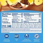 Carnation Breakfast Essentials Ready to Drink with Fiber, Rich Milk Chocolate, 8 FL OZ Carton (Pack of 24) (Packaging May Vary)