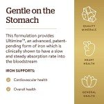 Earth Source Food Fermented Koji Iron 27mg