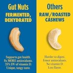 Gut Nuts Fermented Organic Cashews for Gut Health - Tangy, Umami, & Salty Flavors - Super Crunchy Low Carb Keto Snacks - Low Sugar Prebiotic & Postbiotic Cashew Snacks - 3oz Pouch (Pack of 6)