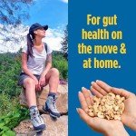Gut Nuts Fermented Organic Cashews for Gut Health - Tangy, Umami, & Salty Flavors - Super Crunchy Low Carb Keto Snacks - Low Sugar Prebiotic & Postbiotic Cashew Snacks - 3oz Pouch (Pack of 6)