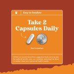 Pure White Kidney Bean Extract - AMPK Activator Pre Workout for Men and Women Natural Energy Supplement - Daily Fiber Supplement for Digestive Health and Energy Boost with Molybdenum and Amino Acids