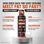 ALPHA LION Burn 20 L-Carnitine Liquid 2000mg, Premium Liquid Fat Burner & Pre-Workout Supplement for Men & Women - Natural Energy & Metabolism Booster for Weight Loss - ShredBerry