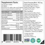 Movita Fermented Vitamin B-Complex – Organic Whole Foods for Mood, Stress Relief, and Metabolism Support – Vegan, Gluten-Free, Non-GMO, 30-Day Supply (Eco-Friendly Refill Pouch)