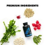 Sculpt Nation by V Shred Burn PM - Night Time Fat Burner - Appetite Suppressant and Weight Loss Support - Raspberry Ketones, Green Coffee Bean Extract, Melatonin - 60 Gluten Free Capsules