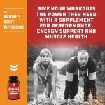 60% HCA Pure Garcinia Cambogia Extract - Blocks Carb Absorption - Suppresses Appetite - Burns Fat - Natural Weight Loss Supplement for Men & Women 60 Capsules - 30 Servings