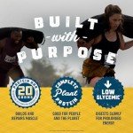 CLIF BUILDERS Protein Bars - Vanilla Almond Flavor - 20g Plant Based Protein - Gluten Free - Non-GMO - Low Glycemic - No Artificial Sweeteners - 2.4 oz. (12 Pack)