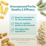 ANDREW LESSMAN Secure Soy Complete Meal Replacement - Vanilla 60 Servings - Only 63 Calories, 7g Non-GMO Soy Protein, Vitamins and Minerals, Low-Fat, Nutritious and Delicious, Mixes Instantly