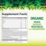 Natural Factors Whole Earth & Sea, Organic Fermented Greens, Vegan Whole Food Supplement, Chocolate, 7.7 Oz