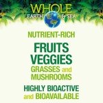 Natural Factors Whole Earth & Sea, Organic Fermented Greens, Vegan Whole Food Supplement, Chocolate, 7.7 Oz