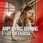 ALPHA LION Gains Candy, Supplement Pills That Support Weight Loss, Appetite Suppressant, Keto-Diet Friendly, Decrease Body Fat, Upgrade Energy & Workout Performance, 60 Capsules (MitoBurn®)