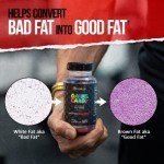 ALPHA LION Gains Candy, Supplement Pills That Support Weight Loss, Appetite Suppressant, Keto-Diet Friendly, Decrease Body Fat, Upgrade Energy & Workout Performance, 60 Capsules (MitoBurn®)