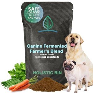 HOLISTIC BIN Canine Fermented Farm Supplement - Multivitamin Powder with Digestive Enzymes, Fermented Spinach, Pumpkin, Blueberry, Beets, & Turmeric - Dog Vitamins for Overall Health - 50g Powder