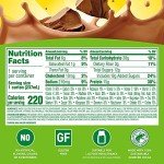 Carnation Breakfast Essentials High Protein with Fiber Ready-to-Drink, 8 FL OZ Carton, Rich Milk Chocolate (Pack of 24) (Packaging May Vary)