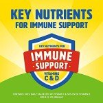 Carnation Breakfast Essentials High Protein with Fiber Ready-to-Drink, 8 FL OZ Carton, Rich Milk Chocolate (Pack of 24) (Packaging May Vary)