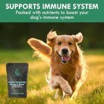 HOLISTIC BIN Canine Fermented Farm Supplement - Multivitamin Powder with Digestive Enzymes, Fermented Spinach, Pumpkin, Blueberry, Beets, & Turmeric - Dog Vitamins for Overall Health - 50g Powder