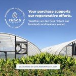 Ancient Nutrition Multivitamin for Women, Women's Fermented Multivitamin with Vitamin C, D, K, Zinc & Magnesium, Immune Support, Vegan, 60 Ct