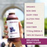 Urban Remedy Organic Green Berry Meal Shake, 16 fl oz, Superfood Blend with Goji Berries, Blueberries, Kale & Spinach, Plant-Based, Gluten-Free, Non-GMO, Ready-to-Drink, Healthy On-the-Go Beverage