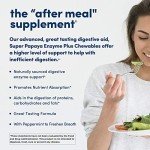 American Health, Super Papaya Enzyme Plus Chewable Tablets, 360 Count