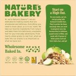 Nature's Bakery Oatmeal Crumble Apple Bars, 1.41 Oz, 6 Ct