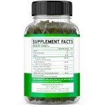 Green Tea Fat Burner Weight Loss Gummies (60 Count) Fat Burner Women - Appetite Suppressant Weight Loss Supplement for Men & Women with Apple Flavored - Third Party Tested - USA Made