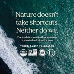 New Chapter Calcium Supplement - Bone Strength Organic Calcium with Magnesium, Vitamin D3+K2, 70+ Trace Minerals for Bone Health, Gluten Free, Easy to Swallow Slim Tablets - 180 Count