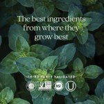 New Chapter Men's Multivitamin 40 Plus for Energy, Heart, Prostate + Immune Support with Fermented Nutrients - Every Man's One Daily 40+, Made with Organic Vegetables & Herbs, Non-GMO - 72 ct