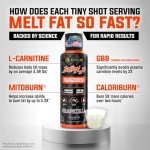 ALPHA LION Burn2O L-Carnitine Liquid 2000mg – Stim Free Super Thermogenic Fat Burner with MitoBurn® & CaloriBurn GP®, Metabolism Booster, Zero Calorie, Sugar-Free (31 Servings, Grapezilla Flavor)