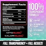 ALPHA LION Burn2O L-Carnitine Liquid 2000mg – Stim Free Super Thermogenic Fat Burner with MitoBurn® & CaloriBurn GP®, Metabolism Booster, Zero Calorie, Sugar-Free (31 Servings, Grapezilla Flavor)