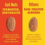 Philosopher Foods Gut Nuts - Fermented Almonds for Gut Health - Tangy, Umami, & Salty Flavors - Super Crunchy Low Carb Keto Snacks - Low Sugar Prebiotic & Postbiotic Almond Snacks - 3oz Pouch (6 Pack)