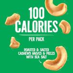 Emerald Nuts Roasted and Salted Cashews 7ct (1-Pack), 100-Calorie Individual Packs, Kosher Certified, Non-GMO, Contains No Artificial Preservatives, Flavors or Synthetic Colors