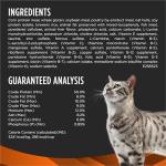 Pro Plan Veterinary Diets Purina OM Overweight Management Feline Formula Dry Cat Food - 16 lb. Bag