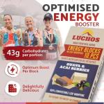 LUCHOS Natural High Energy Bars Power Blocks for Sports, Endurance, Running, Hiking, Cycling, Pre Workout Healthy Snacks, High Carb, Vegan and Gluten Free, Guava and Raspberry, 10 Pieces