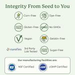 Plant People WonderBurn Metabolism & Cravings Control Gummies, Zero Sugar, Ripe Mango Flavor (60 Count)