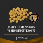 Pro Plan Veterinary Diets Purina NF Kidney Function Canine Dog Food Dry Formula - 6 lb. Bag