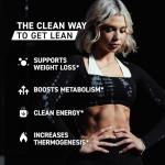 Kaged Clean Burn Powder | Strawberry Lemonade | Thermogenic Weight Management | Boost Metabolism | Organic Caffeine, Apple Cider Vinegar | Supplements for Men & Women | 30 Servings