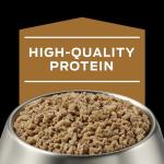 Purina Pro Plan Veterinary Diets NF Kidney Function Canine Formula Wet Dog Food - (Pack of 12) 13.3 oz. Cans