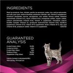 Purina Pro Plan Veterinary Diets UR Urinary St/Ox Feline Formula Wet Cat Food - (Pack of 24) 5.5 oz. Cans