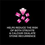 Purina Pro Plan Veterinary Diets UR Urinary St/Ox Feline Formula Wet Cat Food - (Pack of 24) 5.5 oz. Cans