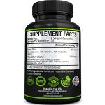 Premium Green Tea Extract Fat Burner Supplement EGCG-Natural Appetite Suppressant-Healthy Weight Loss Diet Pills That Work Fast for Women and Men-Detox Metabolism Booster to Burn Belly Fat Fast-2 pack