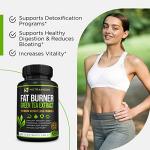 Premium Green Tea Extract Fat Burner Supplement EGCG-Natural Appetite Suppressant-Healthy Weight Loss Diet Pills That Work Fast for Women and Men-Detox Metabolism Booster to Burn Belly Fat Fast-2 pack