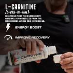 Cutler Nutrition Liquid L-Carnitine Supplement with Acetyl L-Carnitine & L-Carnitine Tartrate Forms - Pre Workout Formula for Optimal Absorption, Energy & Muscle Support