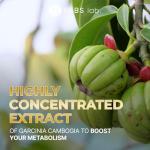 Weight Loss Pills for Women & Men – Diet Pills with Garcinia Cambogia - Effective Appetite Suppressant for Weight Loss - Metabolism Booster – Belly Fat Burner for Men & Women - Made in the USA